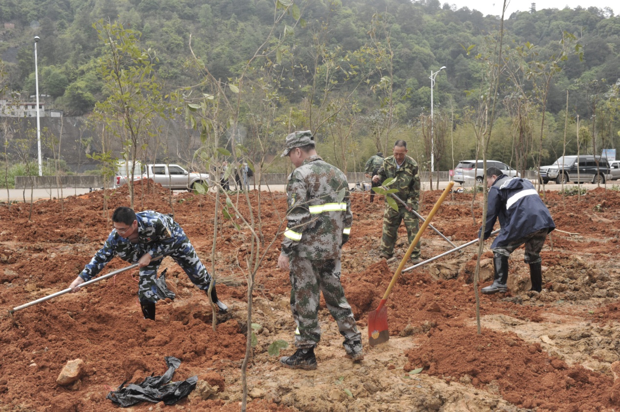 陽(yáng)春三月雨，正是植樹好時(shí)節(jié)