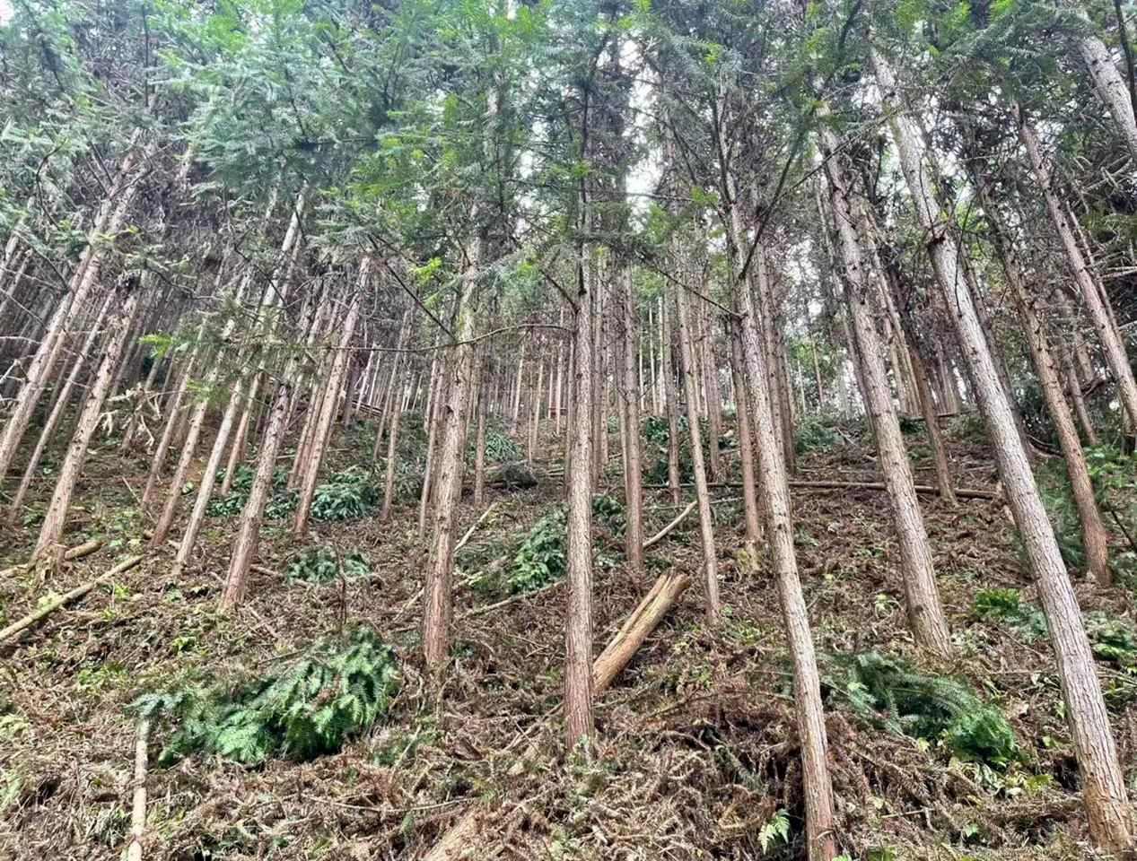 1688638576840863.png 1688638576840863.png