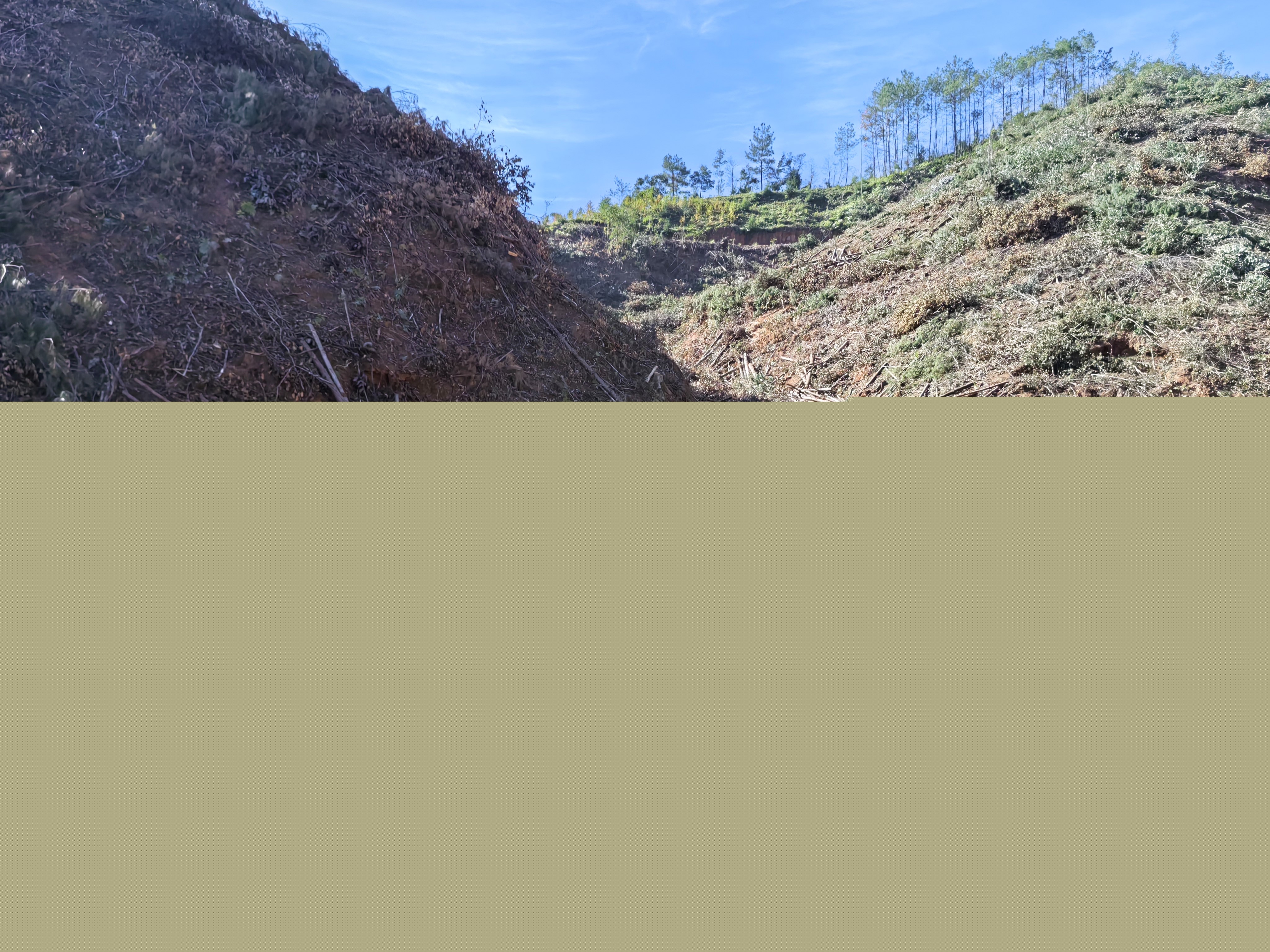 平安常青，我們在行動——常青分公司開展安全生產(chǎn)日活動