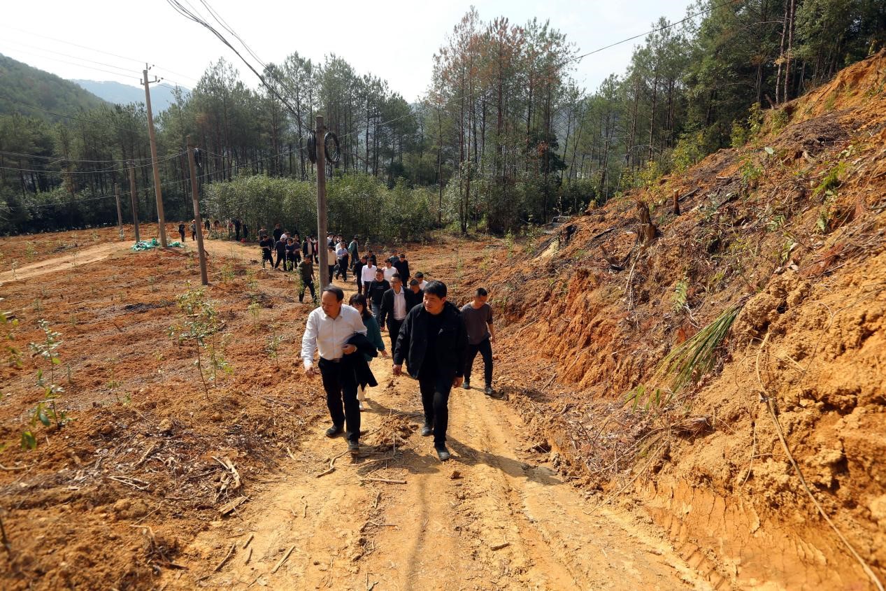 不負(fù)春光好，搶播萬畝林 ——將樂縣村企合作造林工作現(xiàn)場會在福建金森召開