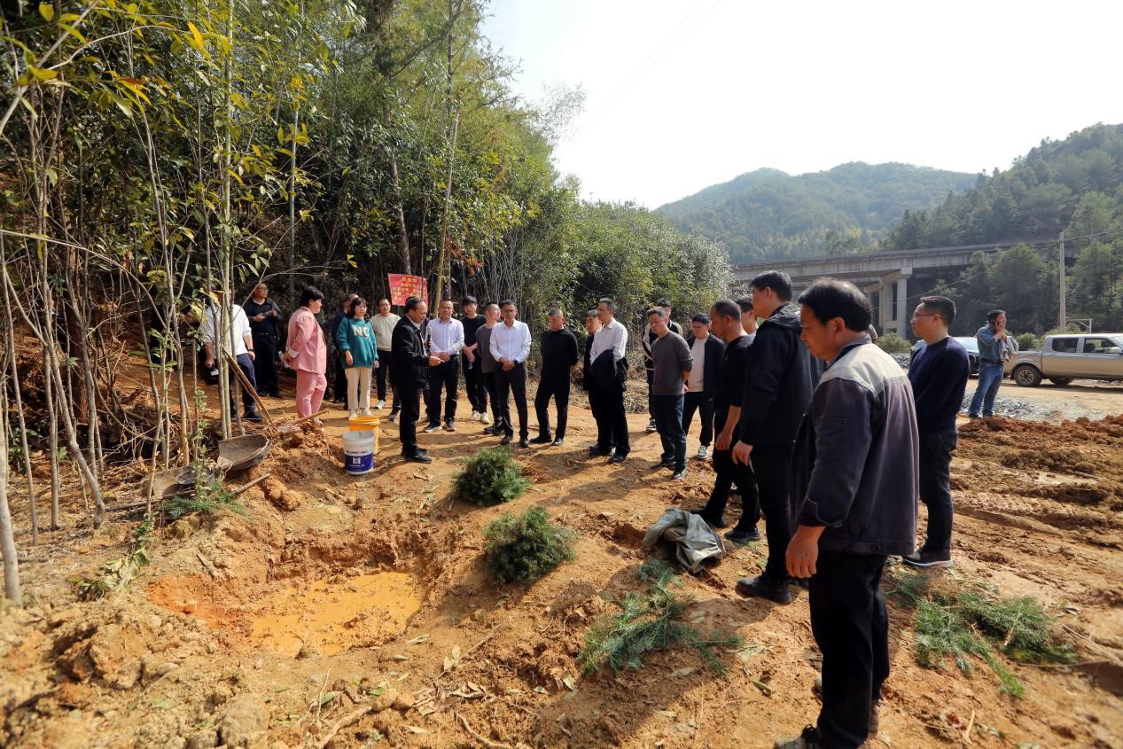 不負(fù)春光好，搶播萬畝林 ——將樂縣村企合作造林工作現(xiàn)場會在福建金森召開